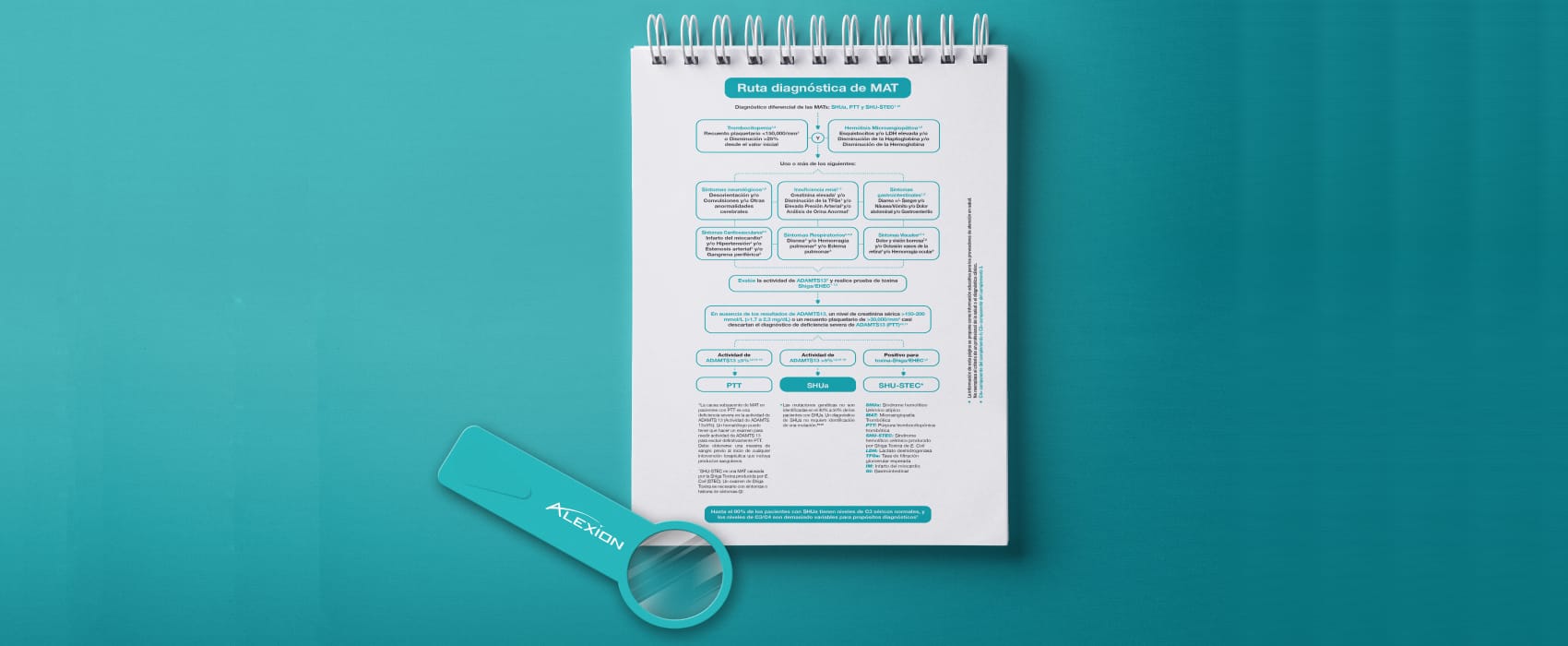 Proyección, Proyección digital, Agencia, Publicidad, Marketing, Mercadeo, Estrategias, Eventos, Lanzamientos, Comunicación