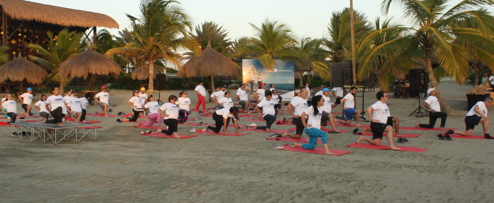 Proyección, Proyección digital, Agencia, Publicidad, Marketing, Mercadeo, Estrategias, Eventos, Lanzamientos, Comunicación
