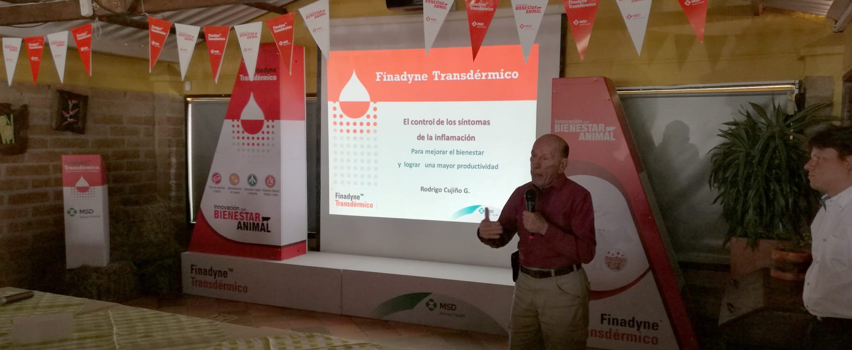 Proyección, Proyección digital, Agencia, Publicidad, Marketing, Mercadeo, Estrategias, Eventos, Lanzamientos, Comunicación