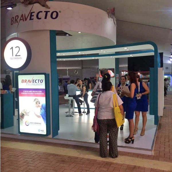 Proyección, Proyección digital, Agencia, Publicidad, Marketing, Mercadeo, Estrategias, Eventos, Lanzamientos, Comunicación